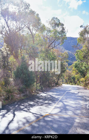 Victoria Australia. Una strada nel Parco Nazionale di Grampians conduce a un'altra destinazione luminoso. Foto Stock