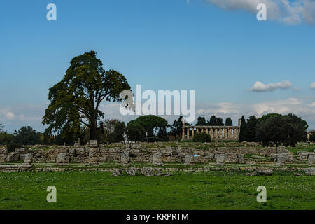 Alberi sotto il cielo limpido in un antico rovine della città Foto Stock