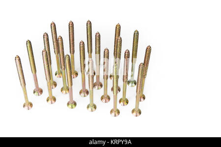 Cerati singolo thread, multiuso di vite per legno a lungo sul bianco Foto Stock