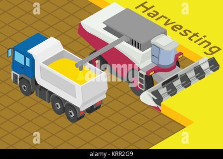 Combinare la raccolta raccogliere il frumento nel campo. Carichi nel carrello. Attrezzature per l'agricoltura. Illustrazione Vettoriale