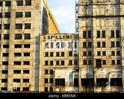 Il Millennium Mills è una volta abbandonati del xx secolo mulino di farina in West Silvertown sul lato sud del Royal Victoria Dock - Londra, Inghilterra Foto Stock