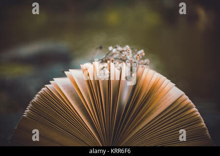 Fiori Secchi sul libro. Che non mi piacciono i fiori? Foto Stock