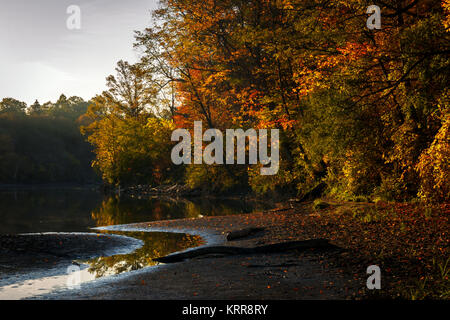 Metà ottobre fino a Toronto la Humber Valley offre colori brillanti. Qui illustrato, illuminata dai primi momenti di sole di mattina. Foto Stock