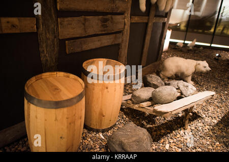 LONGYEARBYEN, Svalbard — il museo di Svalbard a Longyearbyen si concentra sulla storia naturale e culturale dell'arcipeligo di Svalbard, compresa la sua fauna selvatica e come la regione è stata sfruttata per la caccia alla balena, la caccia alle foche, la cattura, il carbone e il turismo. Foto Stock