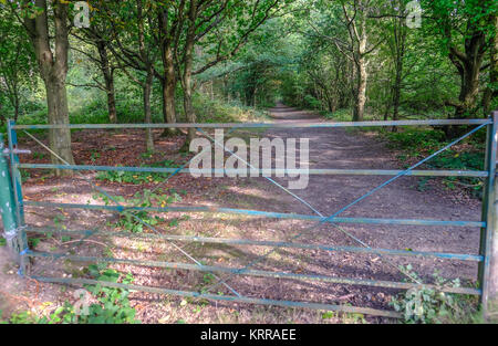 Chiuso gate metallici bloccando l'ingresso ad una passeggiata nella foresta nel pomeriggio di sole. Un sumertime tardo pomeriggio shot. Foto Stock