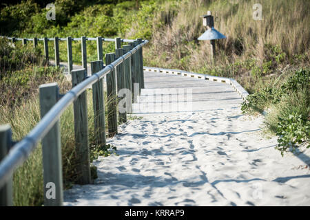 Sullivan's Island Beach Boardwalk South Carolina // SULLIVAN'S ISLAND, South Carolina - Una passerella in legno si estende su dune di sabbia protettive presso la spiaggia di Sullivan's Island, fornendo accesso pur preservando il fragile ecosistema delle dune. Sullivan's Island, un'isola barriera situata all'ingresso del porto di Charleston, presenta circa 3,3 km di spiagge conosciute per il loro carattere naturale e non sviluppato. Il piano di gestione della spiaggia dell'isola include queste passerelle sopraelevate per prevenire l'erosione e proteggere la vegetazione locale. Le spiagge di Sullivan's Island rimangono meno commercializzate rispetto alle vicine Foto Stock