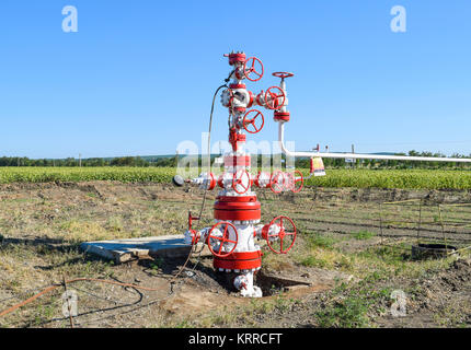 Bene anche per la produzione di petrolio e gas. Olio e apparecchiature di testa del pozzo. La produzione di olio Foto Stock