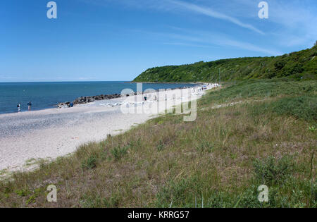 Spiaggia a Vitte, isola di Hiddensee, Meclemburgo-Pomerania, Mar Baltico, Germania, Europa Foto Stock