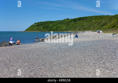 Spiaggia a Vitte, isola di Hiddensee, Meclemburgo-Pomerania, Mar Baltico, Germania, Europa Foto Stock