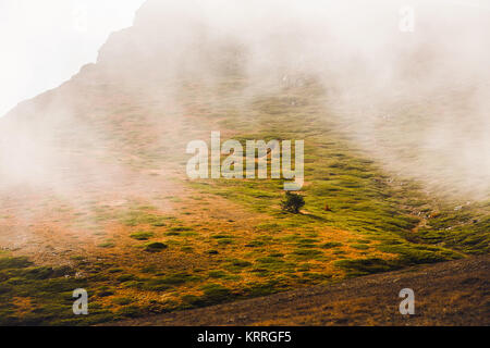 In autunno il paesaggio di nebbia od Chatyr-Dag mountain Foto Stock