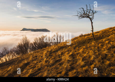 Paesaggio autunnale od Demerdji mountain Foto Stock