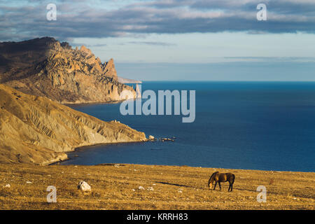 Tranquillo paesaggio con cavallo nella luce del tramonto Foto Stock