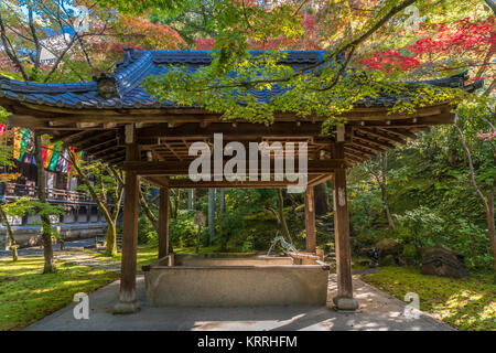 Chozuya o Temizuya (acqua abluzione pavilion) e colorate Momiji acero a Shojuraigousan Muryojuin Zenrin-ji Eikando Zenrinji tempio in autunno S Foto Stock