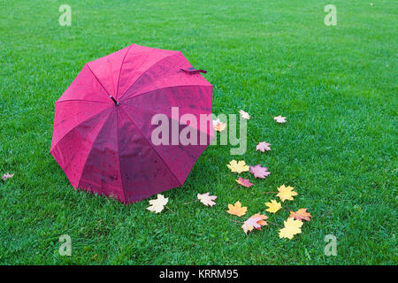 Un ombrello bagnato e caduta foglie giacciono sull'erba. L'autunno. Foto Stock