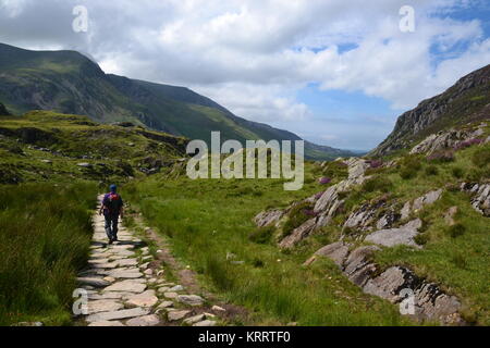 Il camminatore solitario di ritorno dal monte Tryfan sul sentiero verso Llyn Ogwen Foto Stock