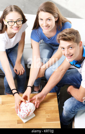 Gli adolescenti sulla lezione di biologia. Foto Stock