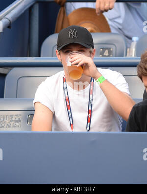 NEW YORK, NY - 04 settembre: Niall Horan il giorno cinque del 2015 US Open al USTA Billie Jean King National Tennis Center il 4 settembre 2015 nel quartiere di lavaggio del Queens borough di New York City. Persone: Niall Horan Foto Stock