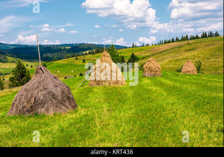 Haystacks in una fila su un campo erboso. bellissimo paesaggio rurale in estate. ecologycal agricoltura concetto. Foto Stock