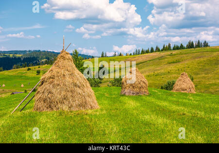 Haystacks in una fila su un campo erboso. bellissimo paesaggio rurale in estate. ecologycal agricoltura concetto. Foto Stock