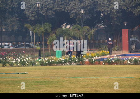 Adulti maschi indiano nazionali nel Giardino di Rose, New Delhi Foto Stock