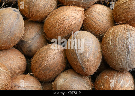 Piccolo intero noci di cocco marrone sul mercato al dettaglio Foto Stock