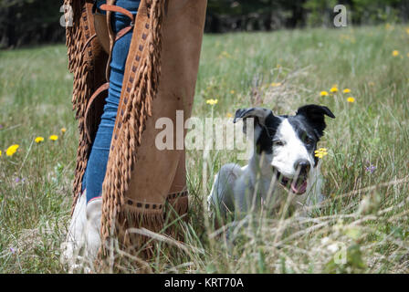 Cane con Cowgirl Foto Stock