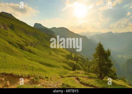 Alpine Falre al tramonto Foto Stock