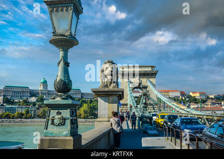 Pomeriggio sulla catena ponte sul Danubio a Budapest Ungheria con il Castello di Buda sulla collina e il leone di pietra nel centro del telaio Foto Stock