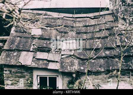 Patina del tetto. Un vecchio cottage in Irlanda con un insellamento tetto è realizzato dal locale pietra Liscannor.nascosto in Irlanda.