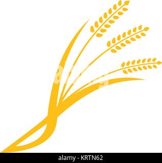 Concetto di prodotti organici etichetta, raccolto e allevamento, grano, panificio, cibo sano. Grani di semplici icone di spighe di grano e elementi di design, whea organico Illustrazione Vettoriale