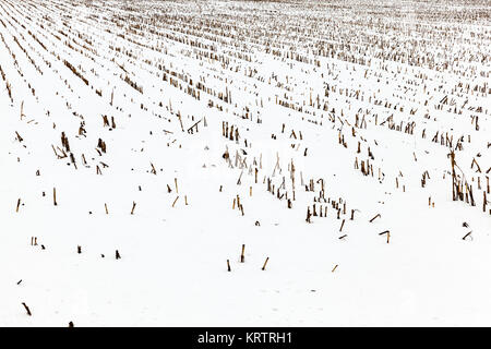 Campo agricolo in inverno Foto Stock