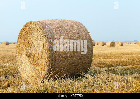 Haystacks in un campo di paglia Foto Stock