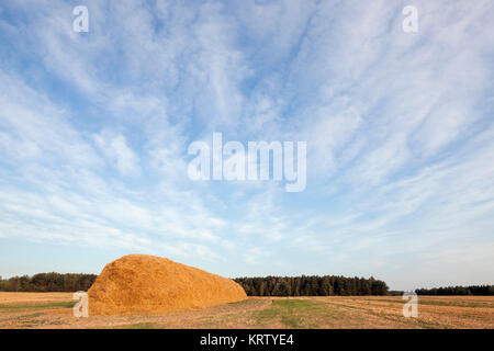 Pila di paglia nel campo Foto Stock