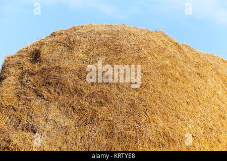 Pila di paglia nel campo Foto Stock