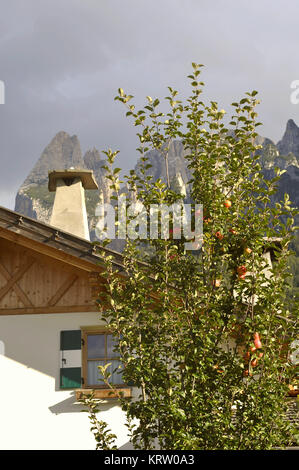 Alpe di Siusi Foto Stock