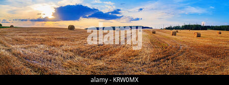 Campo con balle di fieno Foto Stock