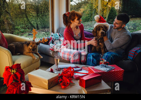 Animali domestici a Natale Foto Stock