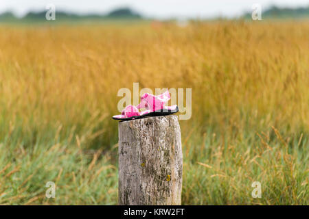 Perso calzatura su un palo Foto Stock