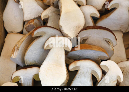 Porcini freschi funghi porcini metà close up Foto Stock