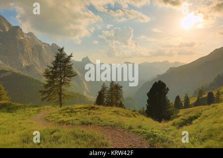 Alpine Falre al tramonto Foto Stock