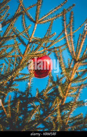 Red palla di Natale appeso a un albero di Natale Foto Stock