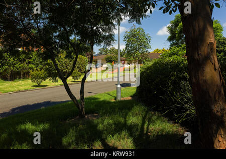 Una strada suburbana con tipico le abitazioni del ceto medio in Sydney Australia Foto Stock