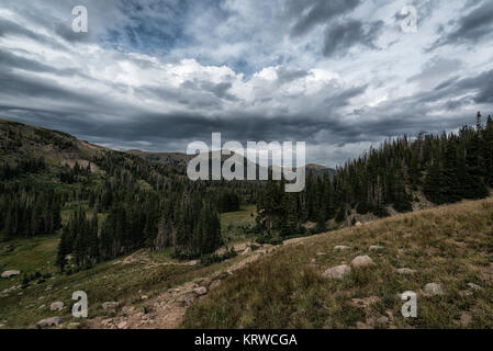 Paesaggio del deserto Rawah, Colorado Foto Stock