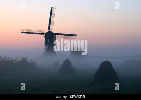 Il mulino a vento di storico nei primi nebbia di mattina all'alba, Sito Patrimonio Mondiale dell'UNESCO, Kinderdijk, provincia di South Holland Foto Stock