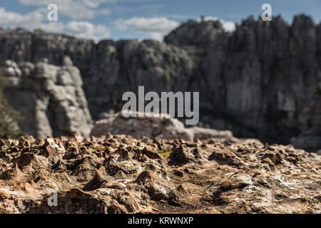 I dettagli delle formazioni geologiche. Il Torcal de Antequera Parco naturale contiene uno dei più notevoli esempi di paesaggio carsico in Europa. Foto Stock