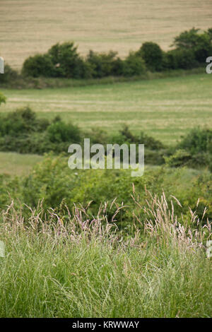 Paesaggio vicino Frocester Hill, vicino a Stroud, Gloucestershire, England, Regno Unito Foto Stock