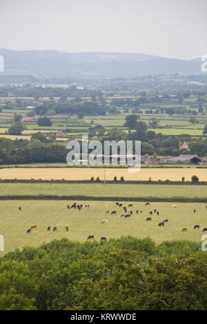 Paesaggio vicino Frocester Hill, vicino a Stroud, Gloucestershire, England, Regno Unito Foto Stock