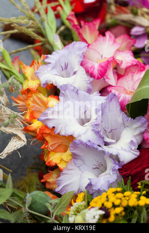 Colorati mazzo di gladioli Foto Stock