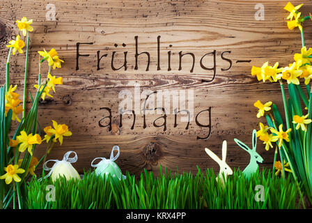 Sfondo di legno con testo in tedesco significa Fruehlingsanfang inizio di primavera. Decorazione di pasqua come uova di Pasqua e il coniglietto di Pasqua. Molla gialla fiore con Narcisssus Gras. Foto Stock
