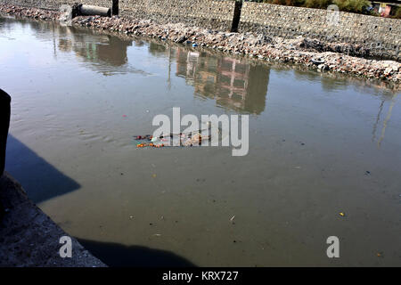 Bloccato in plastica in un fiume e accumulare Foto Stock